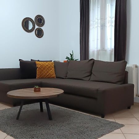 Baou House 1 Διαμέρισμα Μέτσοβο Εξωτερικό φωτογραφία