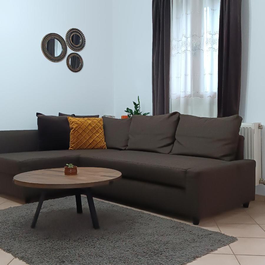 Baou House 1 Διαμέρισμα Μέτσοβο Εξωτερικό φωτογραφία